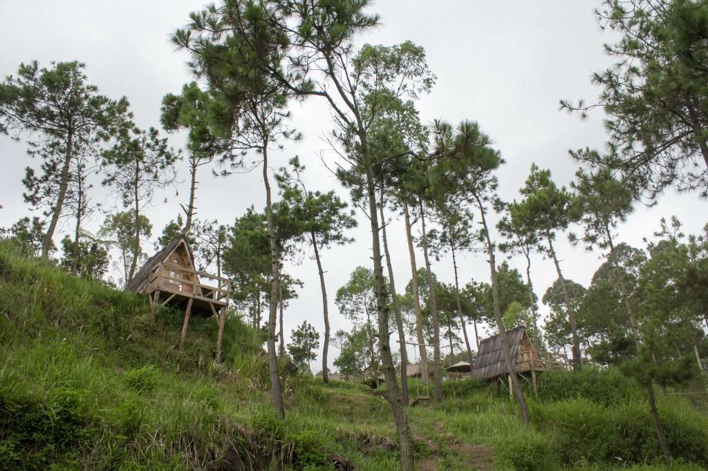 Papandayan Camping Ground Hotel Cileuleuy Exterior foto