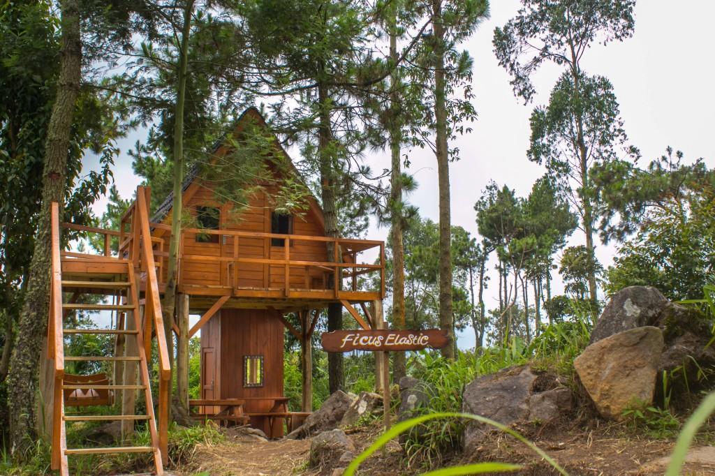 Papandayan Camping Ground Hotel Cileuleuy Exterior foto
