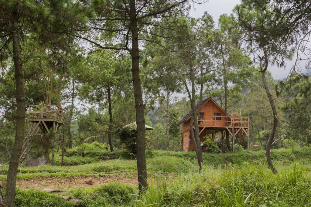 Papandayan Camping Ground Hotel Cileuleuy Exterior foto